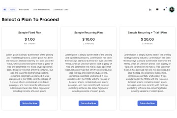 PayPlans full