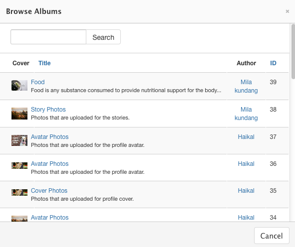 Single Album Item