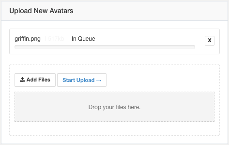 Profile Default Avatars