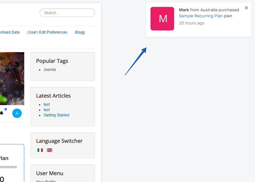 Example sales popup